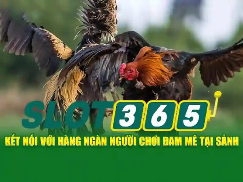 Slot365: Đánh giá và trải nghiệm các trò chơi slot trực tuyến Giao diện nhà cái hoàn hảo
