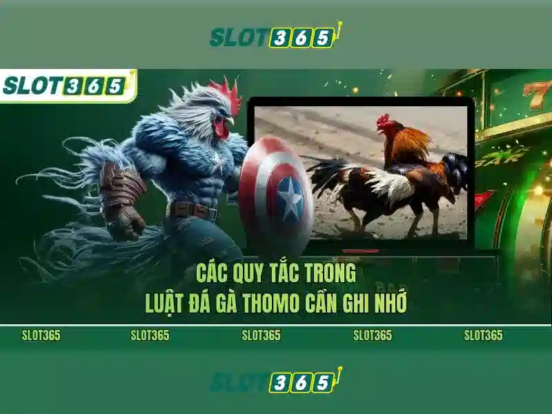 Người chơi đang trải nghiệm casino trực tuyến trên điện thoại di động
