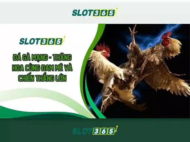 Khuyến mãi và chương trình thưởng Slot365
