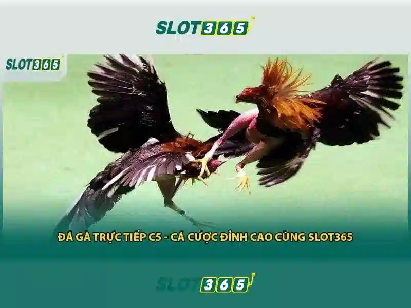Các tính năng nổi bật của Slot365