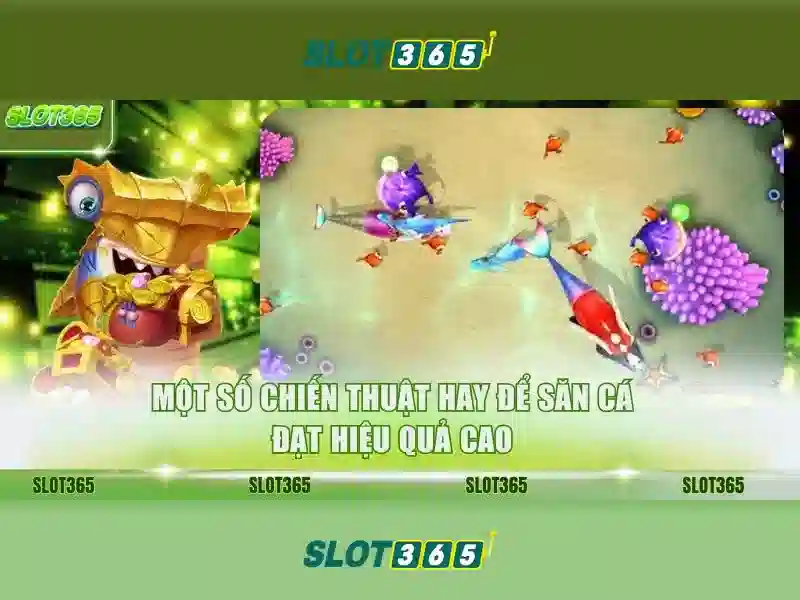 Kết luận và gợi ý tham gia Slot365