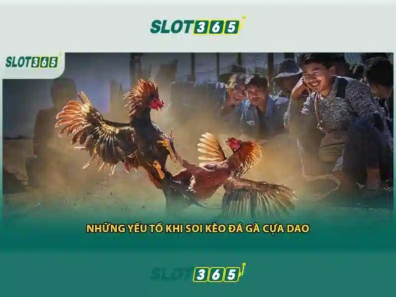 Slot365: Đánh Giá Trải Nghiệm Cá Cược Trực Tuyến Giao diện nhà cái hoàn hảo