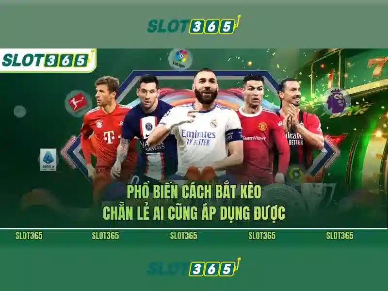 Slot365 là nền tảng chơi máy đánh bạc trực tuyến phổ biến