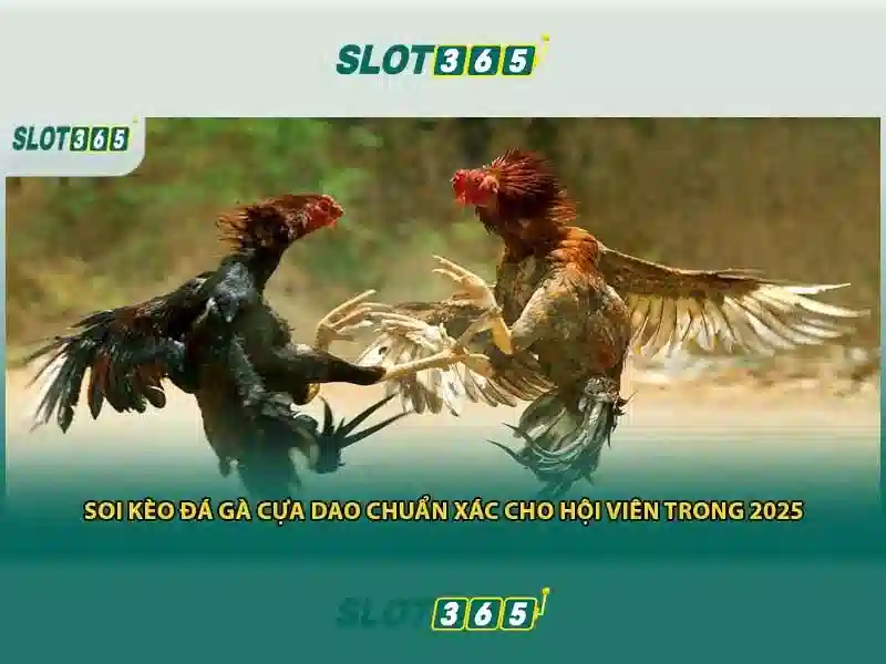Trải nghiệm người chơi và giao diện