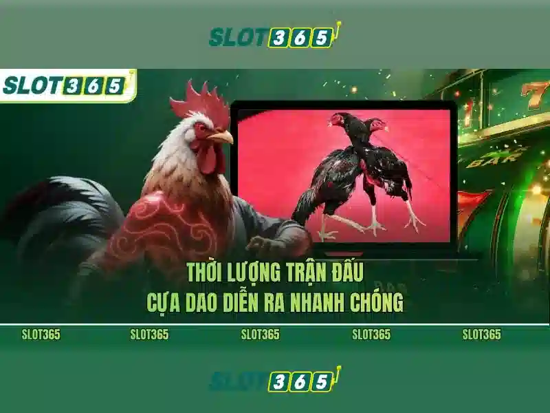 Tại sao chọn Slot365