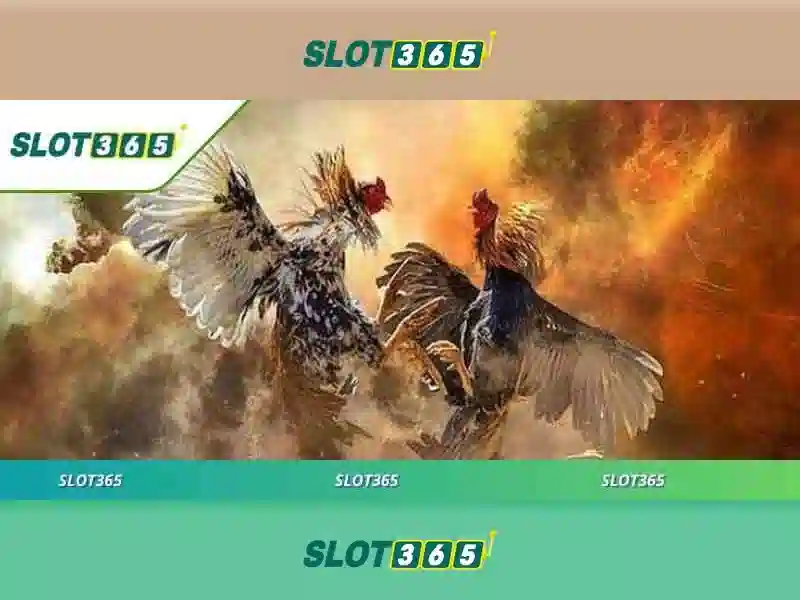 Slot365: Nền tảng slot trực tuyến hàng đầu cho người dùng Việt Giao diện nhà cái hoàn hảo