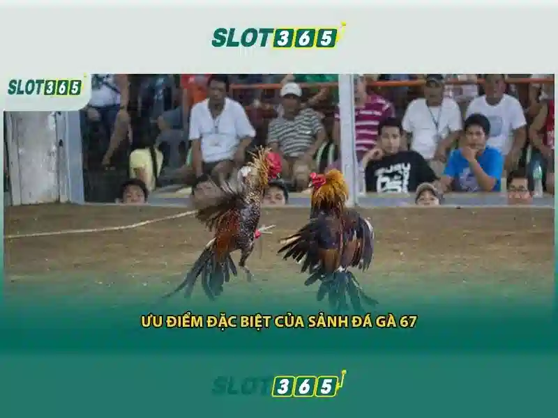 An toàn và thanh toán