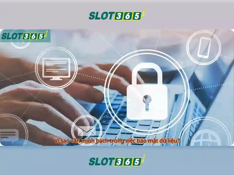 Slot365 là gì?