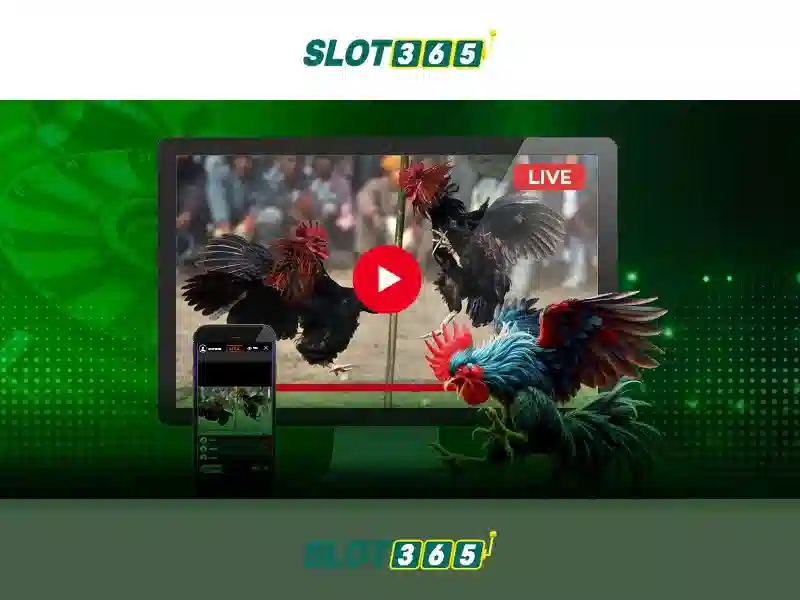 Slot365: Giới thiệu và danh mục trò chơi Giao diện nhà cái hoàn hảo