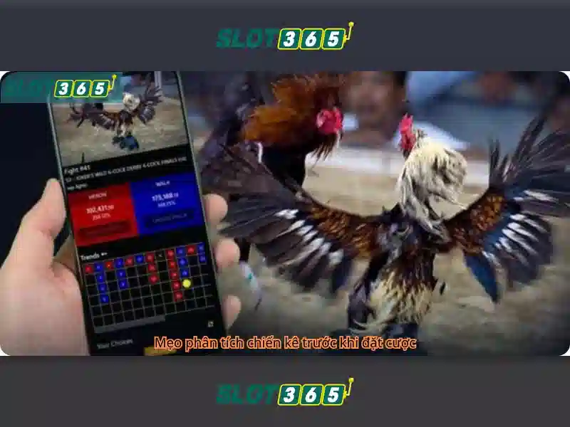 Slot365 – Nền tảng slot trực tuyến đáng tin cậy Giao diện nhà cái hoàn hảo