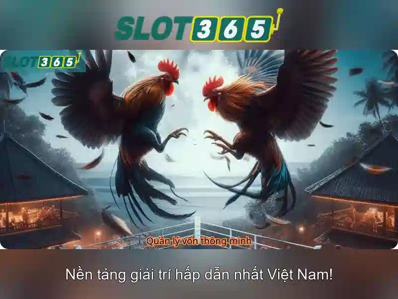 Slot365: Đánh giá & thông tin nền tảng slot trực tuyến Giao diện nhà cái hoàn hảo