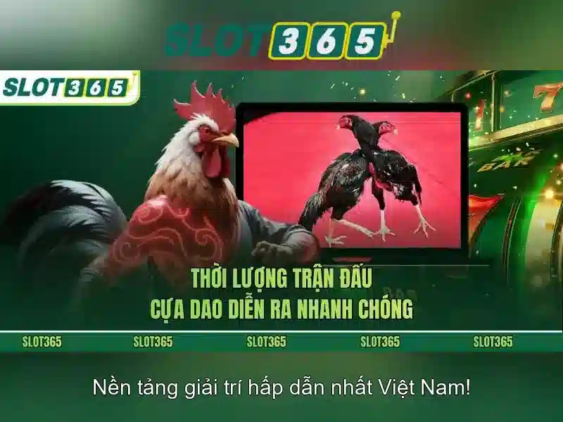 Trải nghiệm người dùng và tương thích di động