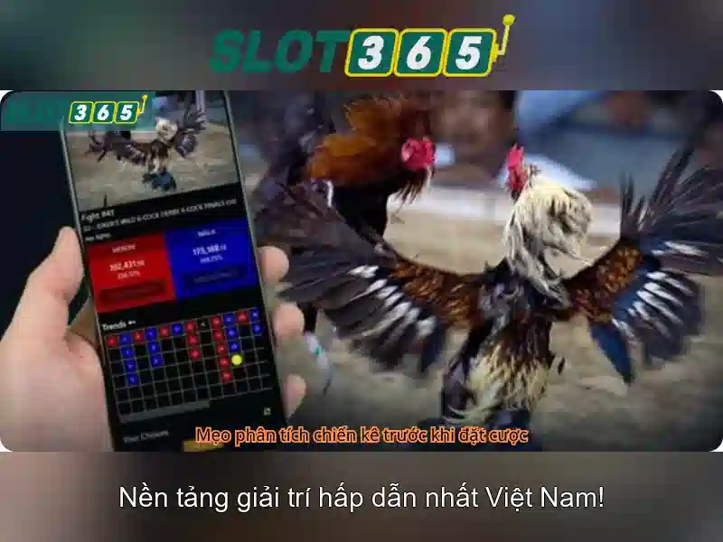 Giao diện nhà cái hoàn hảo