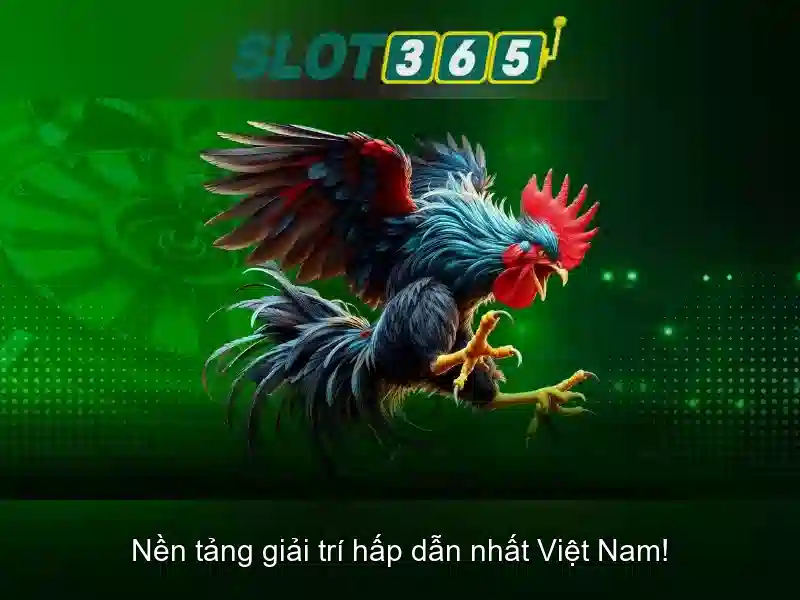 Khuyến mãi và chương trình thưởng