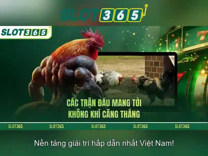Các tính năng nổi bật