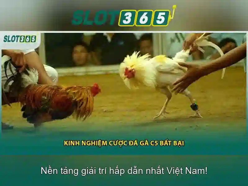 Trải nghiệm người dùng và thanh toán an toàn