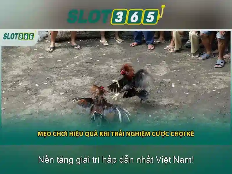 Slot365: Đánh giá nền tảng chơi slot trực tuyến uy tín Giao diện nhà cái hoàn hảo