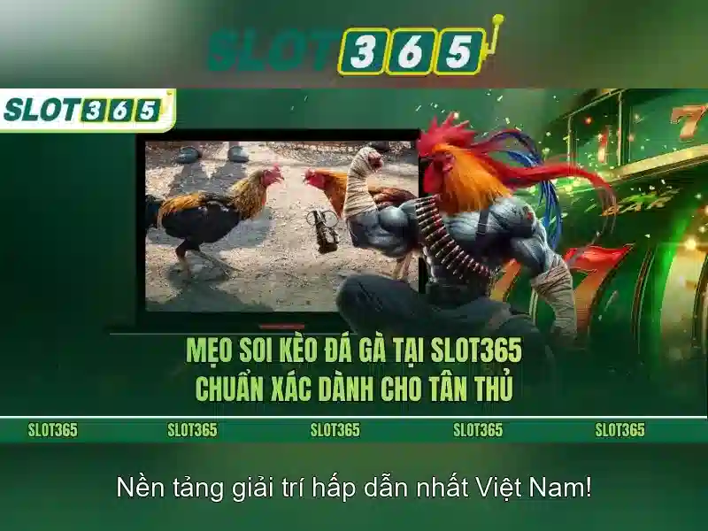 Độ tin cậy và nhà cung cấp trò chơi