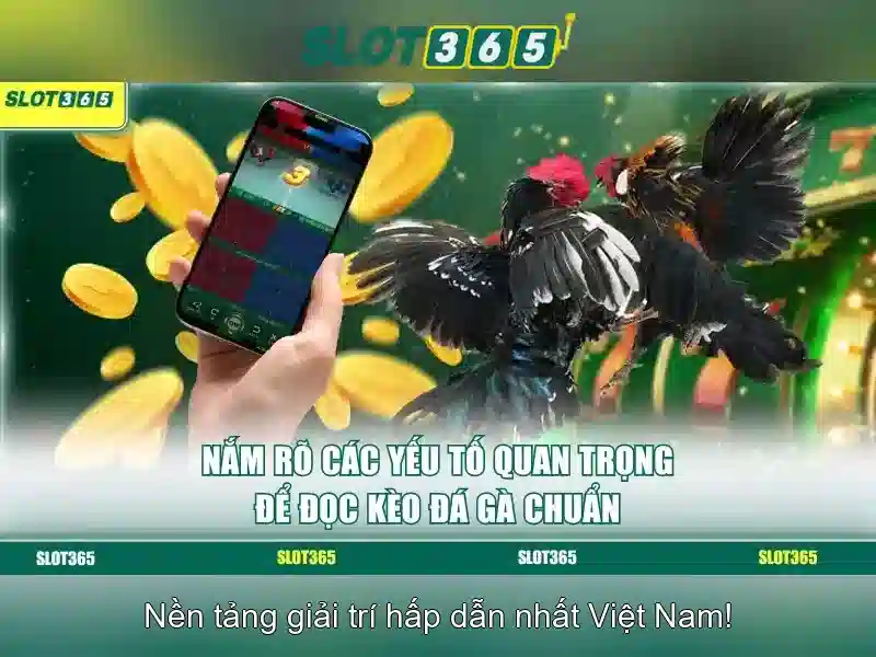 Slot365 – Nơi trải nghiệm máy đánh bạc hàng đầu