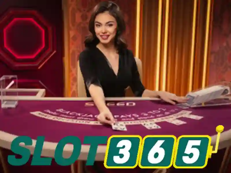 Slot365 là gì và vì sao được ưa chuộng